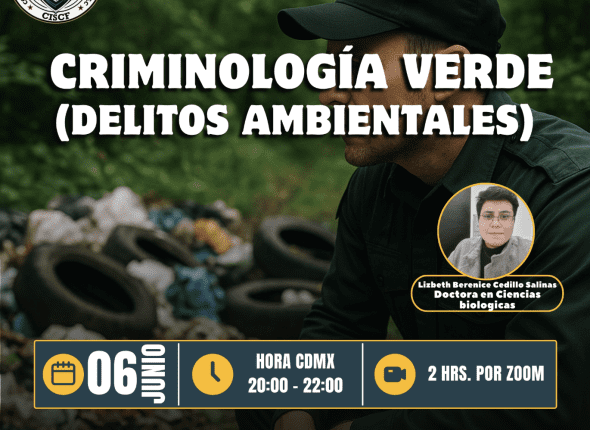 Captura de pantalla 2025-06-05 a las 12.00.35 a. m.